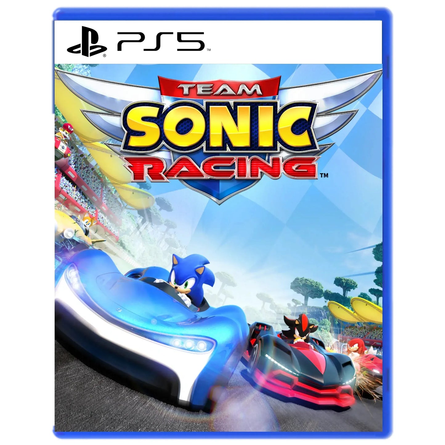 TEAM SONIC RACING - PS5